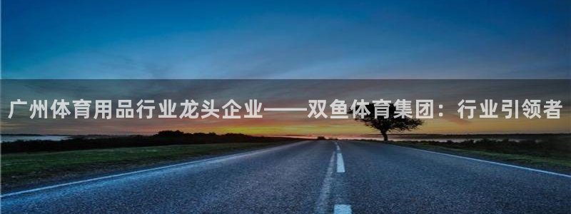 欧陆娱乐登录官网下载：广州体育用品行业龙头企业——双