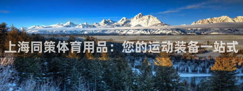 欧陆娱乐平台登录不上去：上海同策体育用品：您的运动装