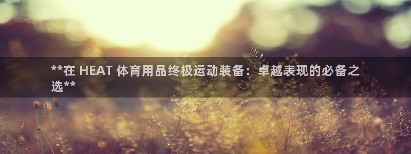 欧陆娱乐计划预测软件：**在 HEAT 体育用品终极
