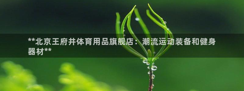 欧陆娱乐里面怎么看打排五：**北京王府井体育用品旗舰