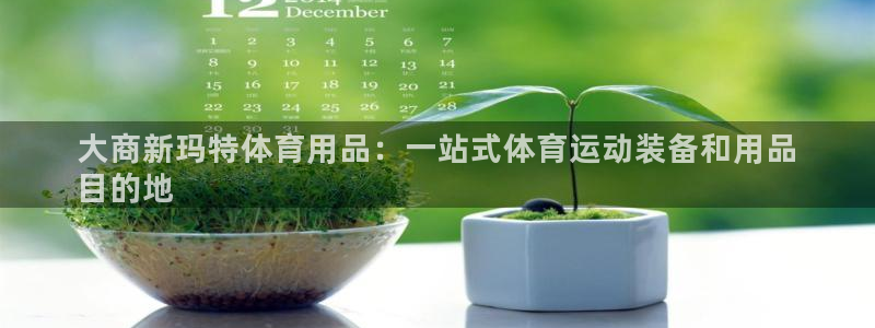 欧陆娱乐怎么注册会员号：大商新玛特体育用品：一站式体