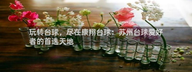 欧陆游戏平台：玩转台球，尽在康翔台球：苏州台球爱好
