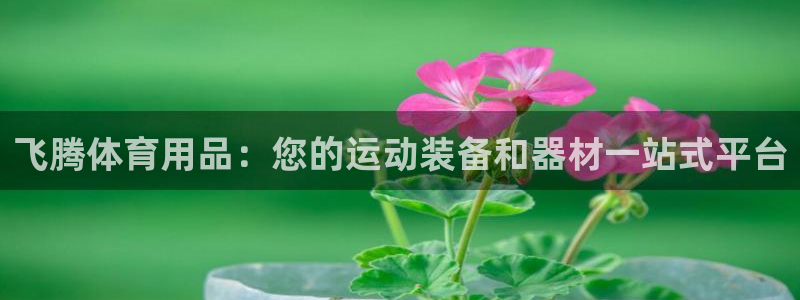 欧陆娱乐登陆平台下载：飞腾体育用品：您的运动装备和器
