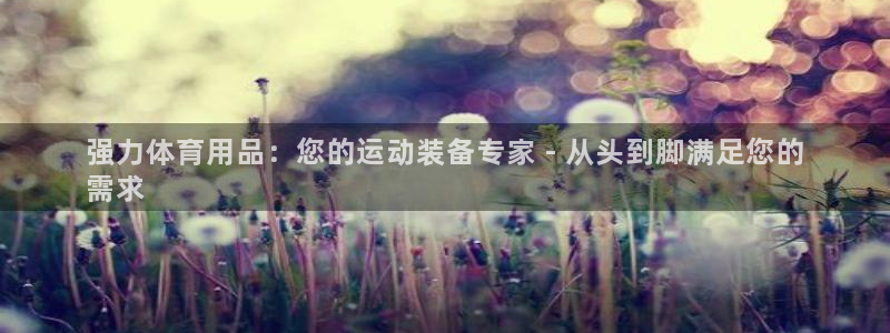 欧陆娱乐平台登陆地址在哪：强力体育用品：您的运动装备