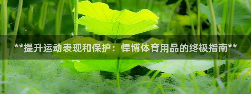 欧陆娱乐平台登录不上去了：**提升运动表现和保护：悍