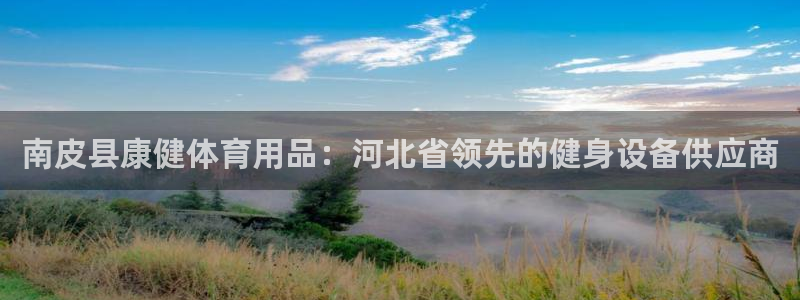 欧陆娱乐能赚钱吗：南皮县康健体育用品：河北省领先的健