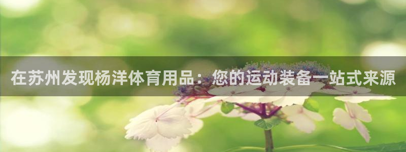 欧陆娱乐分分彩：在苏州发现杨洋体育用品：您的运动装备