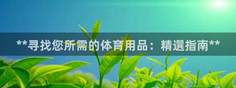 欧陆娱乐注册代理：**寻找您所需的体育用品：精選指南