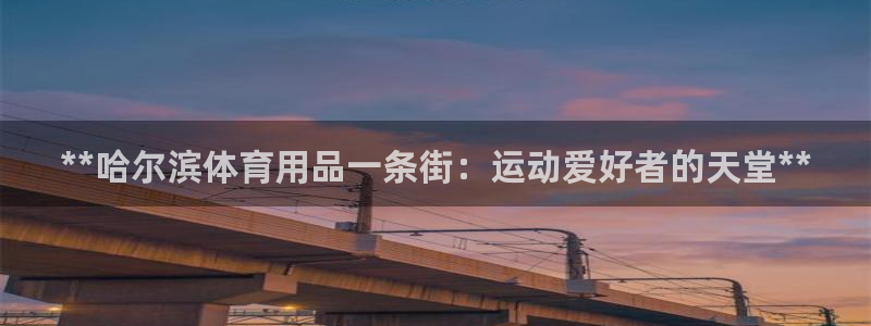 欧陆平台：**哈尔滨体育用品一条街：运动爱好者的天堂