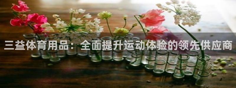 欧陆娱乐挂机项目怎么弄：三益体育用品：全面提升运动体