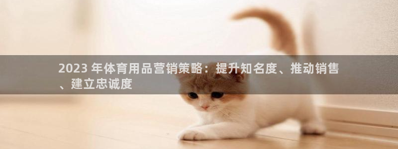 欧陆娱乐注册链接安全吗是真的吗：2023 年体育用品