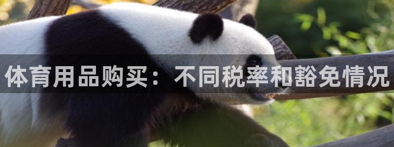 欧陆娱乐突然登录不了了：体育用品购买：不同税率和豁免