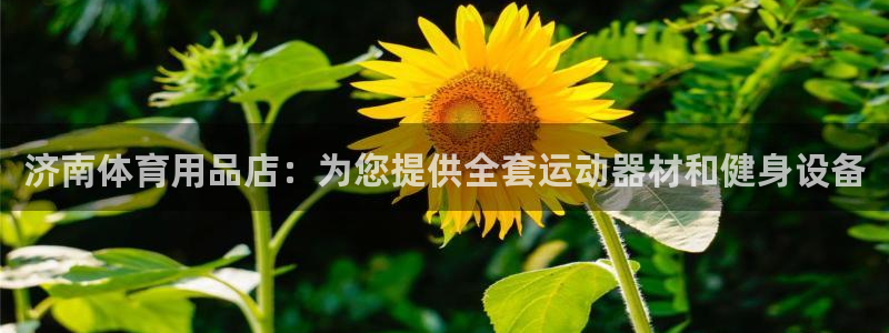 欧陆娱乐登录测速软件：济南体育用品店：为您提供全套运