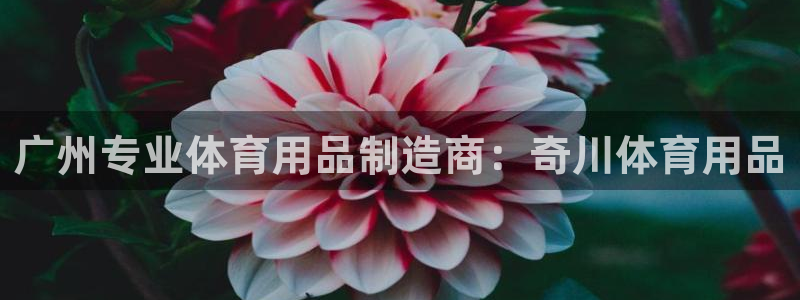 欧陆娱乐共创美好：广州专业体育用品制造商：奇川体育用