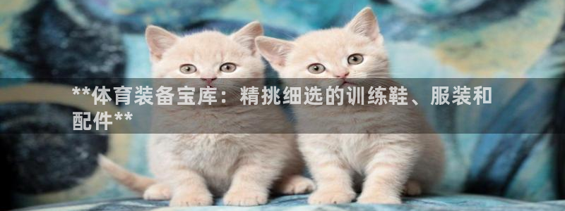 欧陆论坛：**体育装备宝库：精挑细选的训练鞋、服装和