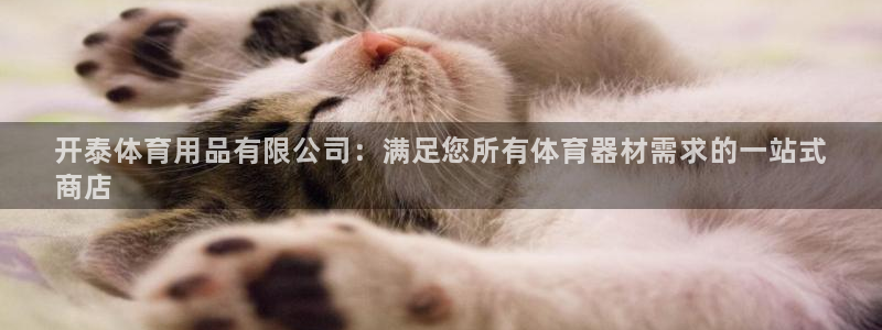 欧陆娱乐公司产品介绍大全：开泰体育用品有限公司：满足