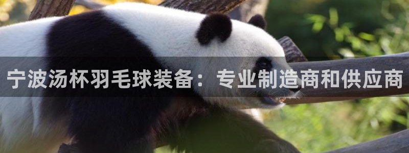 欧陆娱乐是正规吗?：宁波汤杯羽毛球装备：专业制造商和