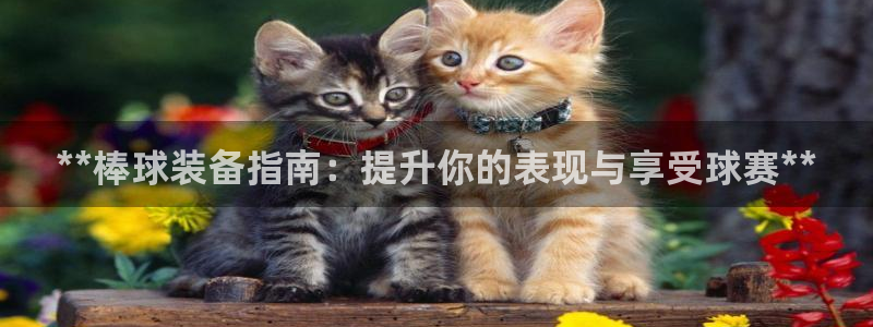 欧陆娱乐注册代理多少钱啊：**棒球装备指南：提升你的