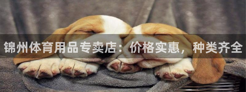 欧陆娱乐信誉吗：锦州体育用品专卖店：价格实惠，种类齐