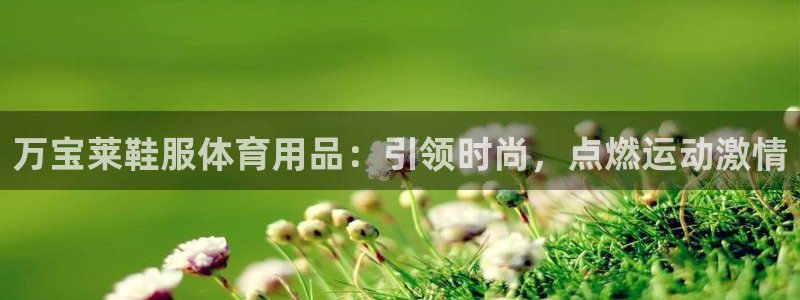 欧陆娱乐计划app官方正版安装下载苹果：万宝莱鞋服体