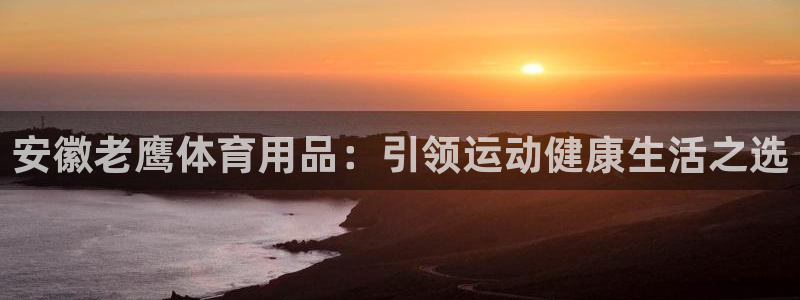 欧陆娱乐里面怎么看打排五：安徽老鹰体育用品：引领运动