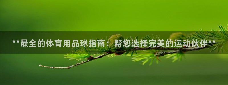重庆欧陆娱乐有限公司：**最全的体育用品球指南：帮您