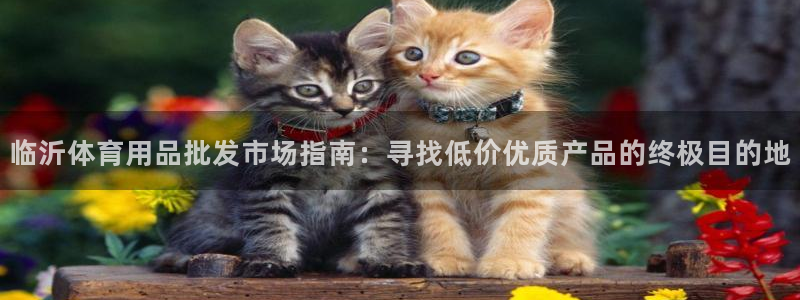 欧陆娱乐平台登录不上：临沂体育用品批发市场指南：寻找