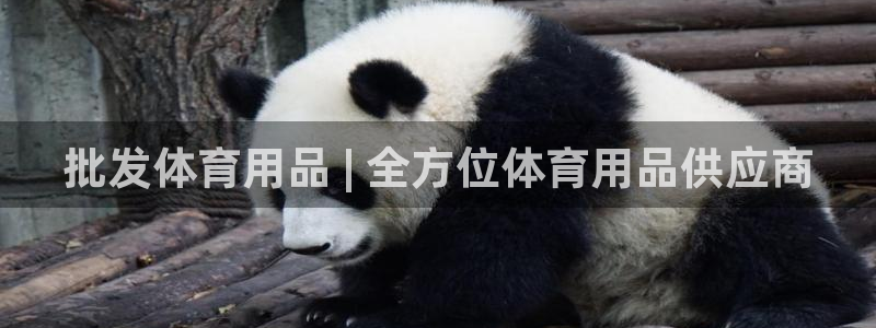 欧陆商城：批发体育用品 | 全方位体育用品供应商