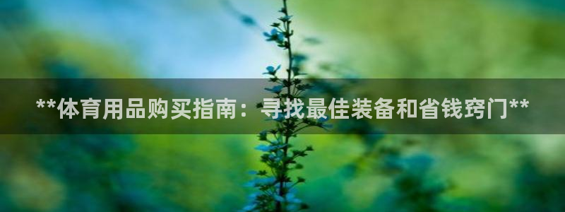 欧陆论坛：**体育用品购买指南：寻找最佳装备和省钱窍