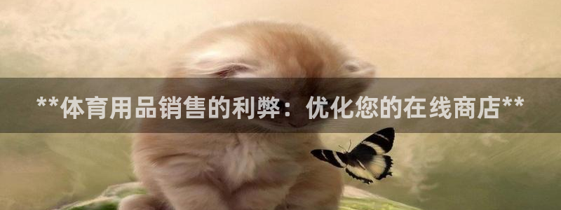 欧陆娱乐安全吗：**体育用品销售的利弊：优化您的在线