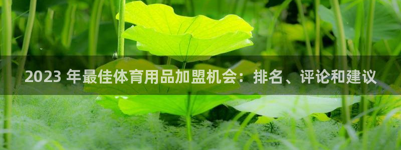 欧陆娱乐线路测速：2023 年最佳体育用品加盟机会：