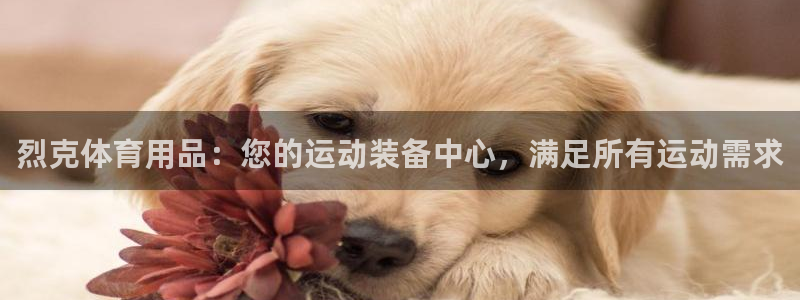 欧陆娱乐官网首页网址：烈克体育用品：您的运动装备中心
