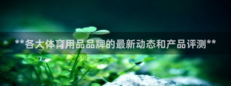 欧陆娱乐图片：**各大体育用品品牌的最新动态和产品评