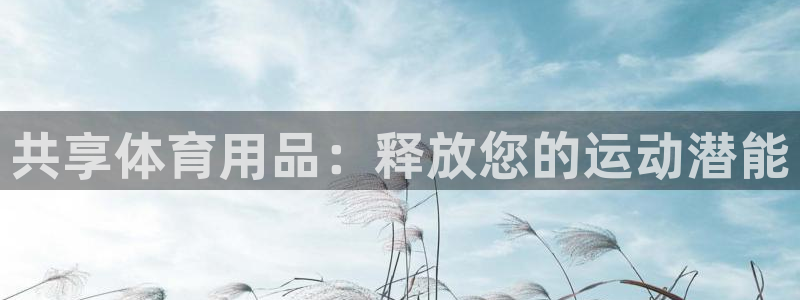欧陆官方网站：共享体育用品：释放您的运动潜能