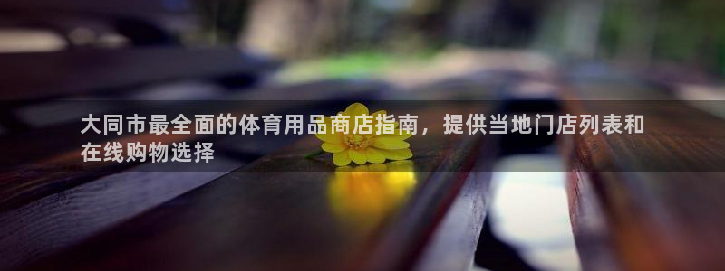 欧陆娱乐系统教程：大同市最全面的体育用品商店指南，提