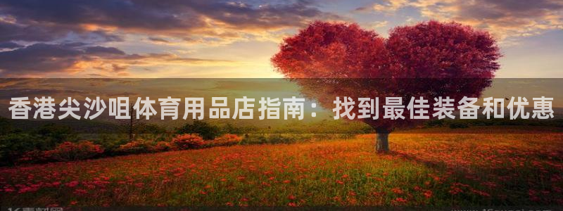 欧陆娱乐平台登陆地址在哪看：香港尖沙咀体育用品店指南