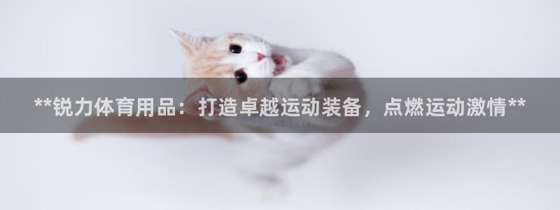 欧陆娱乐平台登陆地址在哪：**锐力体育用品：打造卓越