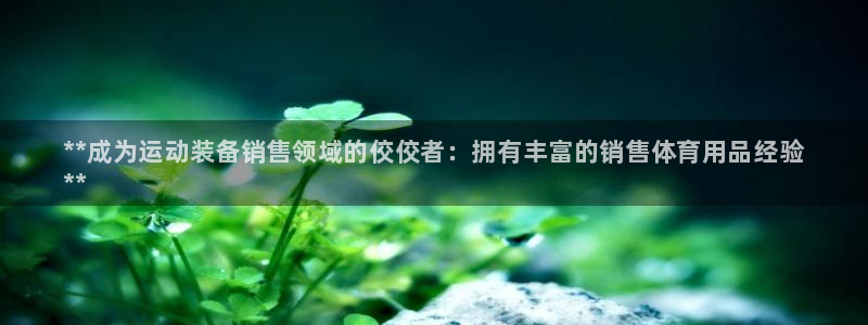 欧陆娱乐挂机项目怎么弄：**成为运动装备销售领域的佼佼者：拥