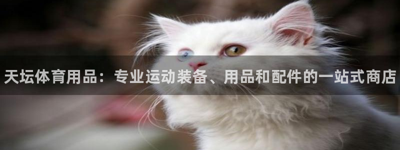 欧陆娱乐能不能玩