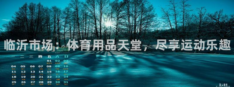 欧陆娱乐官网入口下载：临沂市场：体育用品天堂，尽享运动乐趣