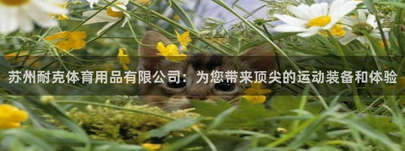 欧陆娱乐平台咋样：苏州耐克体育用品有限公司：为您带来