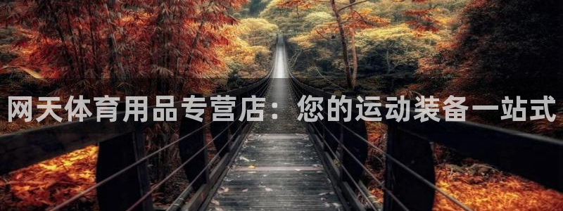 欧陆娱乐app下载安装：网天体育用品专营店：您的运动