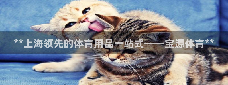 欧陆娱乐挂机项目有哪些：**上海领先的体育用品一站式