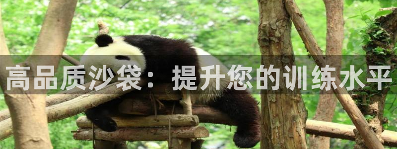 欧陆娱乐注册链接怎么弄的：高品质沙袋：提升您的训练水