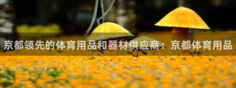 欧陆娱乐登录测速怎么关闭:京都领先的体育用品和器材供应商:京